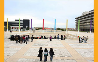  مقالات: دور الدولة في التعليم العالي وخاصة الجامعة اللبنانية / د. محسن صالح