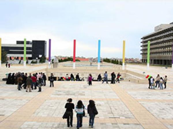  مقالات: دور الدولة في التعليم العالي وخاصة الجامعة اللبنانية / د. محسن صالح