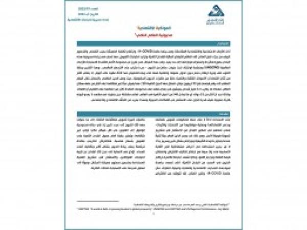  مديونية العالم النامي / إعداد مديرية الدراسات الاقتصادية - العدد 19 - آب 2023