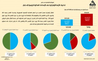  تداعيات الأزمة الأوكرانية على الإمدادات الغذائية الرئيسية إلى لبنان / إعداد مديرية الدراسات الاقتصادية - عدد خاص - شباط 2022